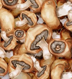 Comment utiliser les champignons séchés en cuisine ?