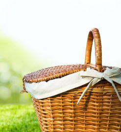 Paniers de pique-nique : un must-have pour les amoureux de nature et de convivialité